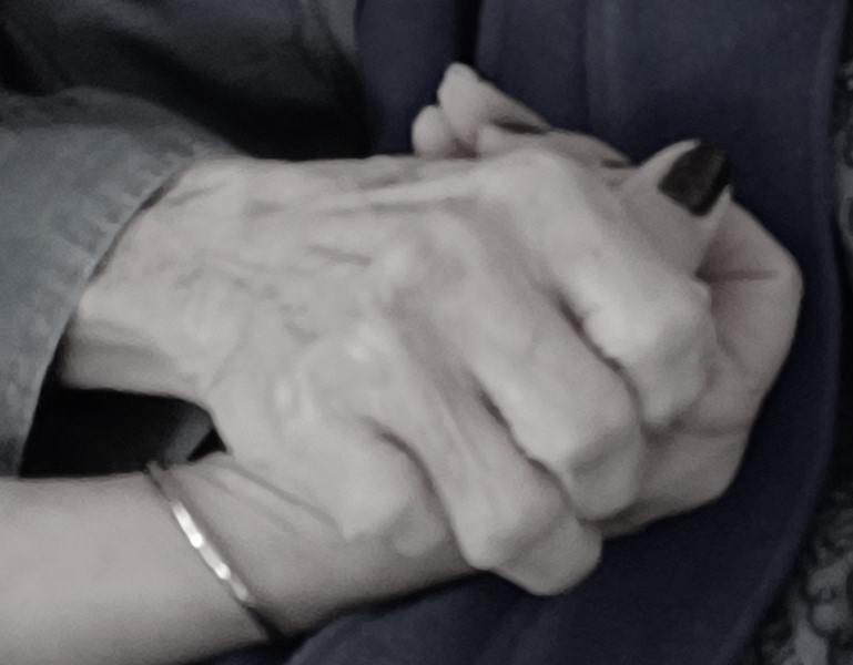 Euthanasia Repeal Alliance – Constitution